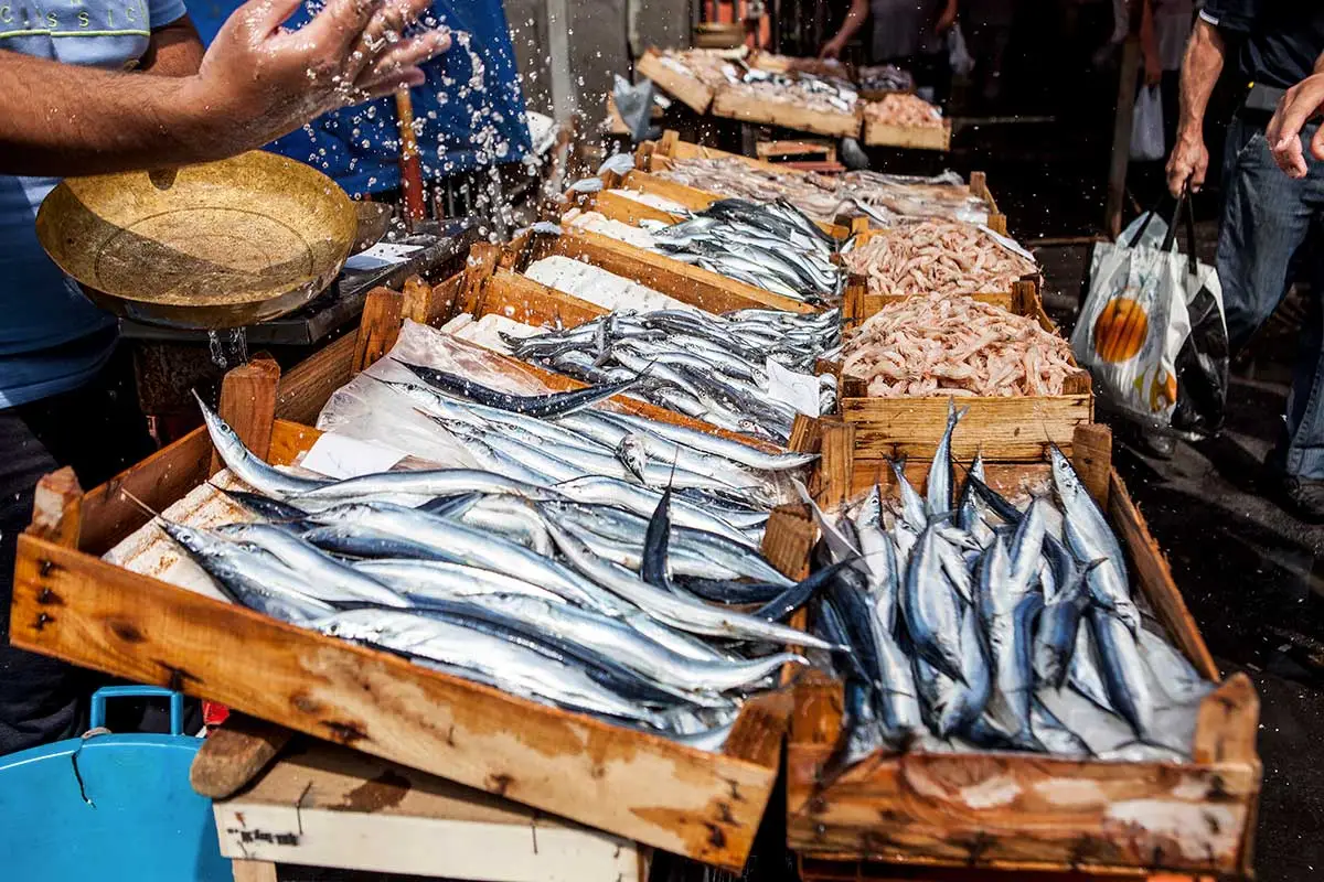 Svež ulov skuše predmet inspekcijskog nadzora