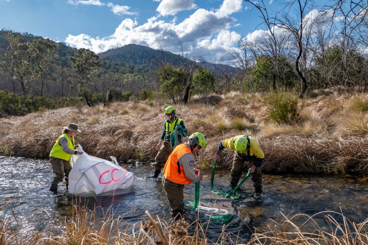 Podvodna staništa za ugrožene ribe