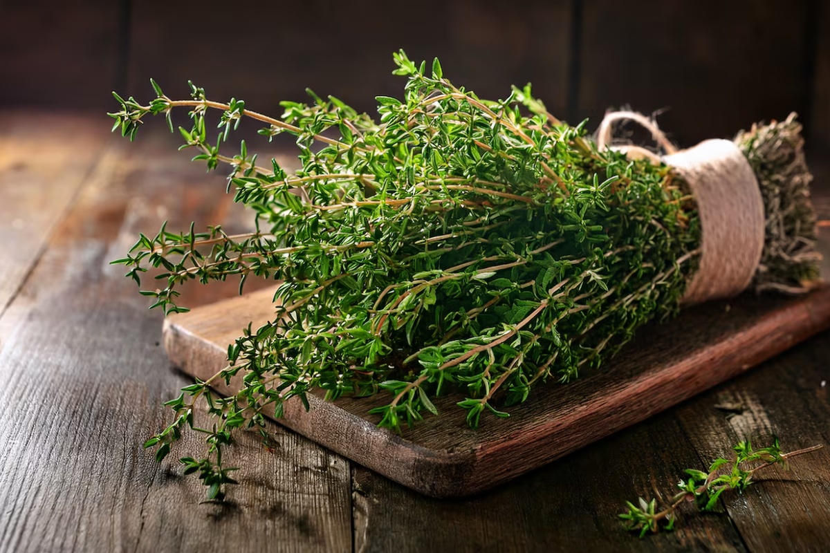 Kuvanje timijana u kuhinji za prirodnu svežinu
