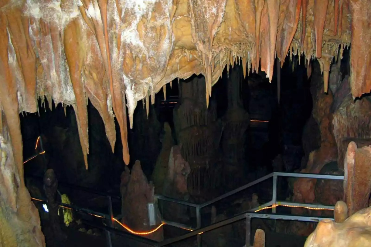 Fosil lobanje iz Petralone prekriven mineralnim naslagama