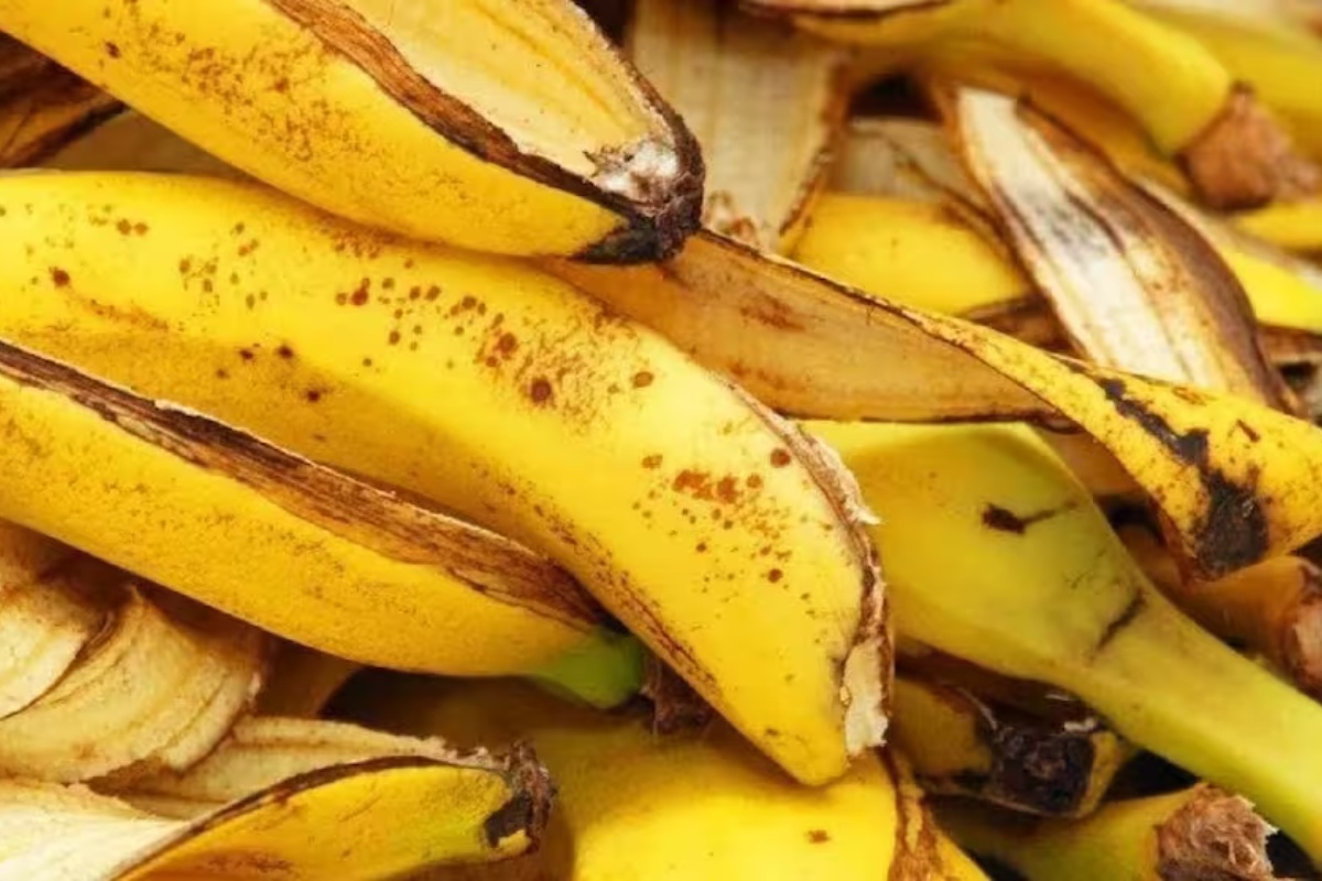 Zalivanje sobnih biljaka rastvorom od banane