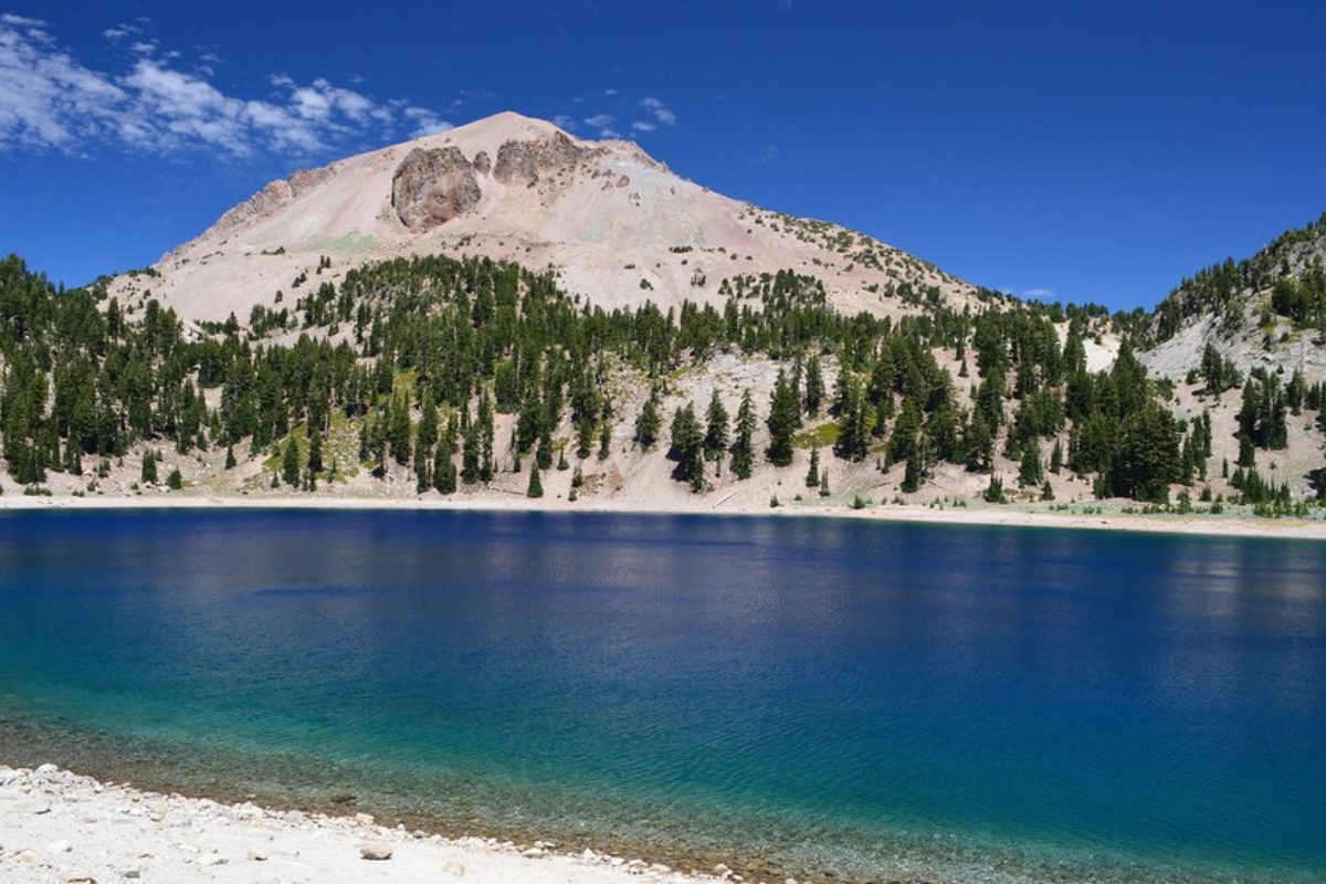 Mikroskopski prikaz amebe pod visokim uveličanjem