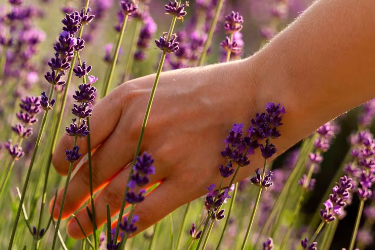 Prirodna mešavina za miris i dezinfekciju