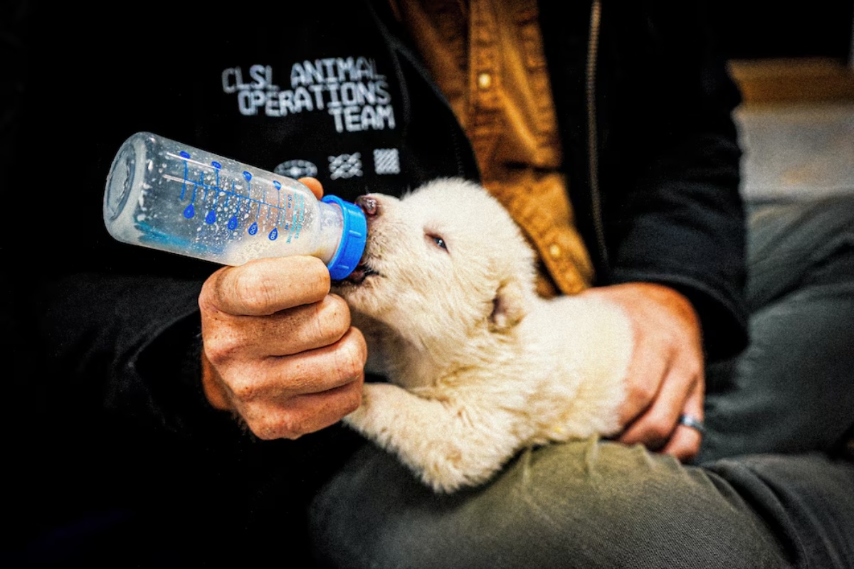 Budućnost očuvanja prirode i naučni progres