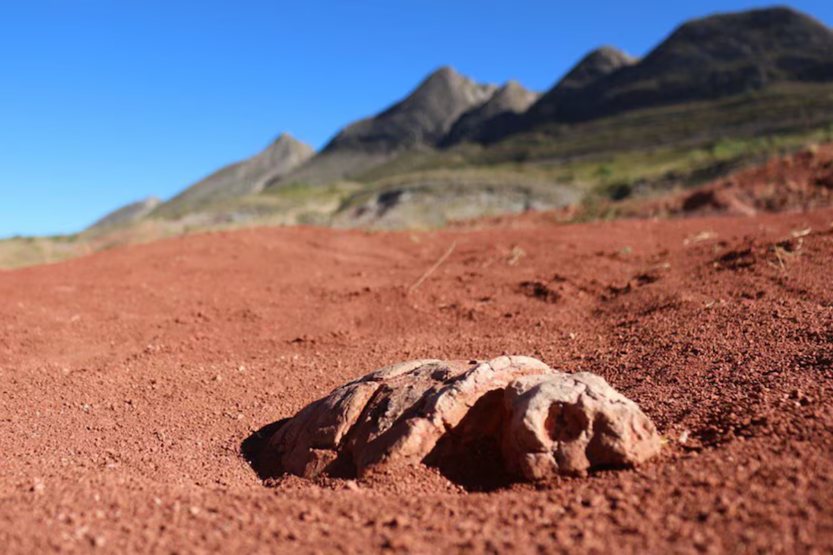 Detaljan prikaz tragova na steni
