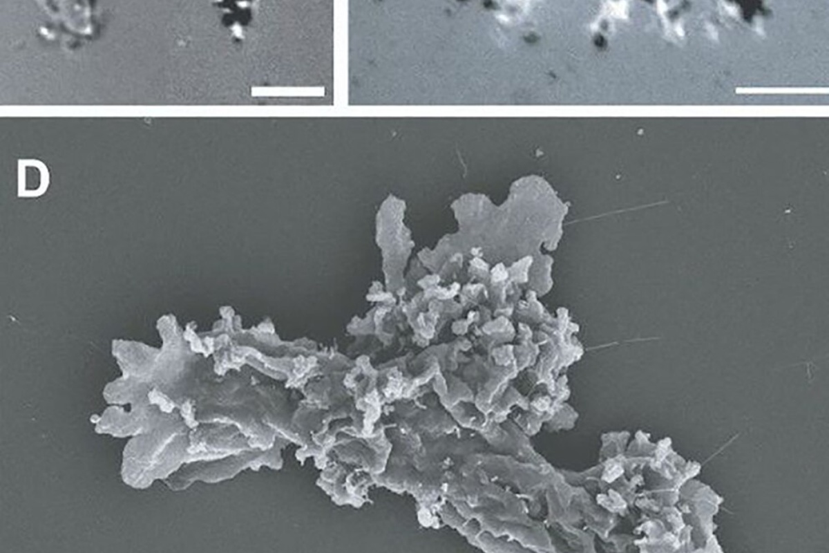 Umetnički prikaz potrage za ekstremnim oblicima života u svemiru