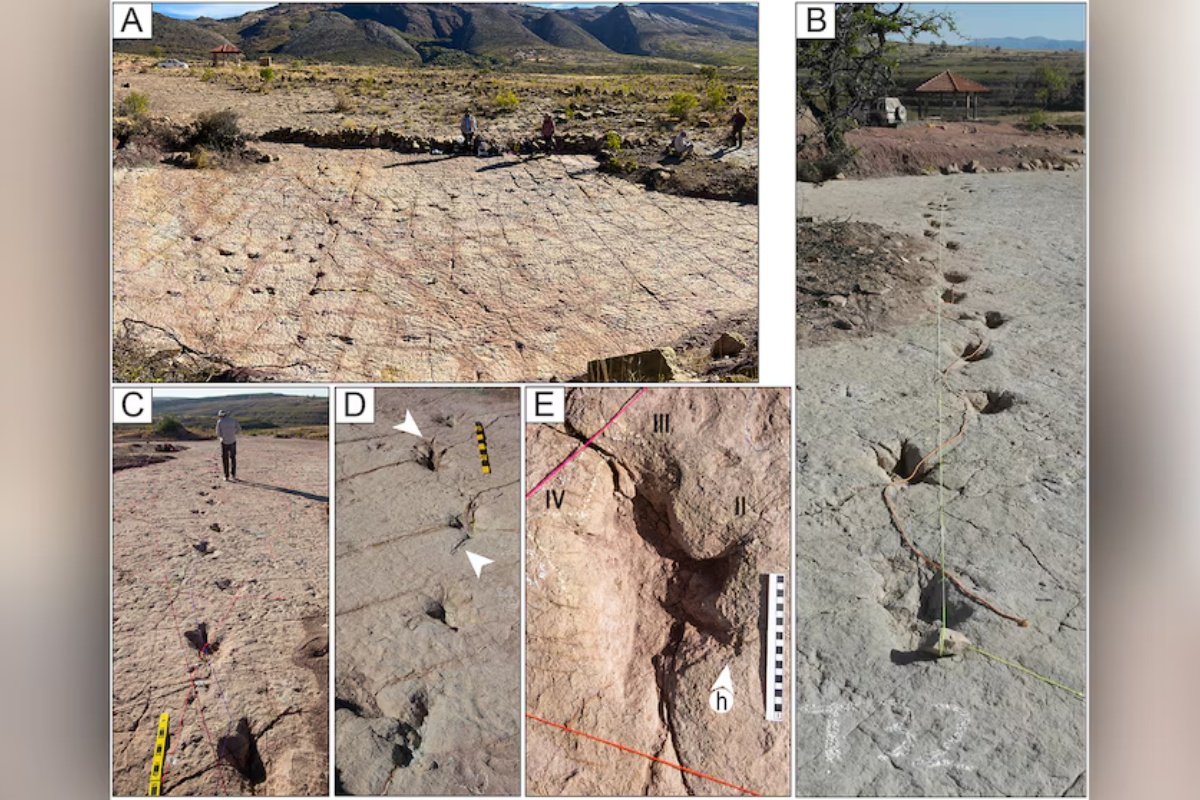 Panoramski prikaz lokaliteta Carreras Pampa