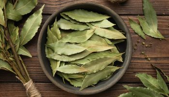 A cosa serve mettere foglie di alloro alla finestra e perché lo raccomandano?