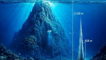 Gli scienziati scoprono una montagna sottomarina che supera di quattro volte l’altezza del grattacielo più alto della Terra: quasi 2.300 metri in più