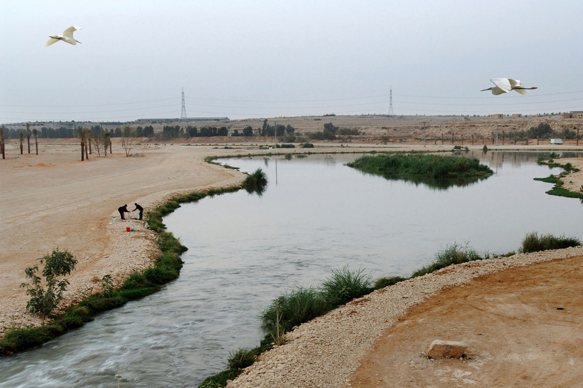 Saudijska Arabija gradi rijeku dugu 100 km od postrojenja za pročišćavanje otpadnih voda, stvarajući ekosustave od nule