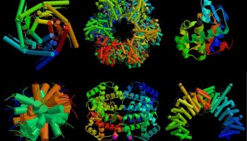 Un team di Oxford progetta proteine con capacità quantistiche, aprendo una nuova frontiera nella biotecnologia