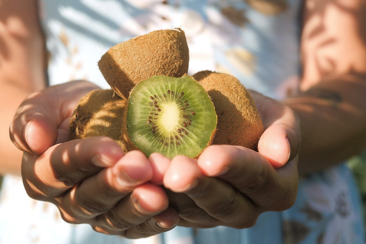 Zašto istraživači preporučuju jedenje dva kivija dnevno i kakvi su učinci na zdravlje kože, crijeva i kardiovaskularnog sustava?