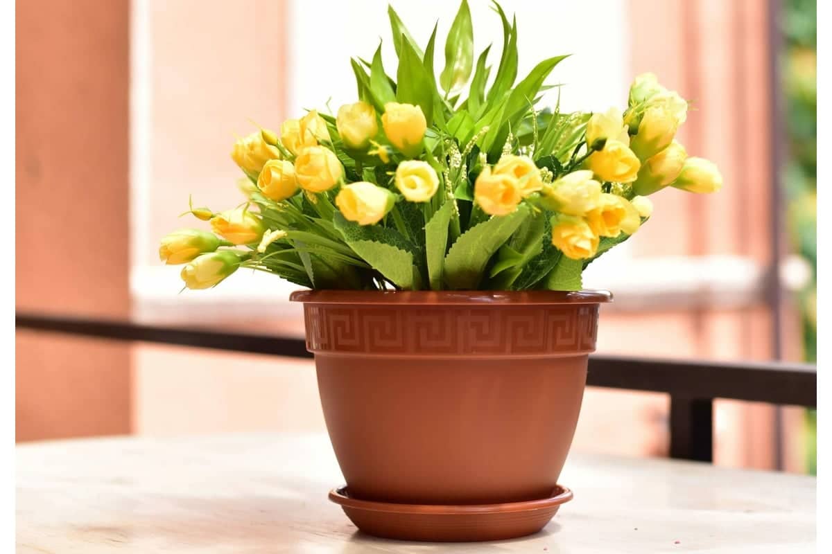 Sú takmer v každom dome. Čoskoro ich zakážu