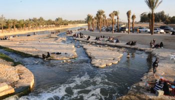 L’Arabia Saudita costruisce un fiume lungo 100 km che nasce da un impianto di depurazione e riesce a creare ecosistemi dal nulla