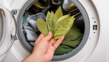 Málokto pozná tento trik: prečo dávať bobkové listy do práčky
