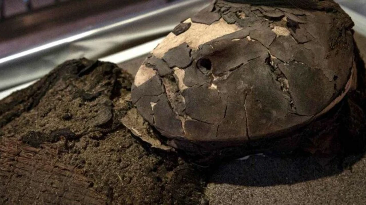 Lubanje mumija Chinchorro u usporedbi s modernom populacijom