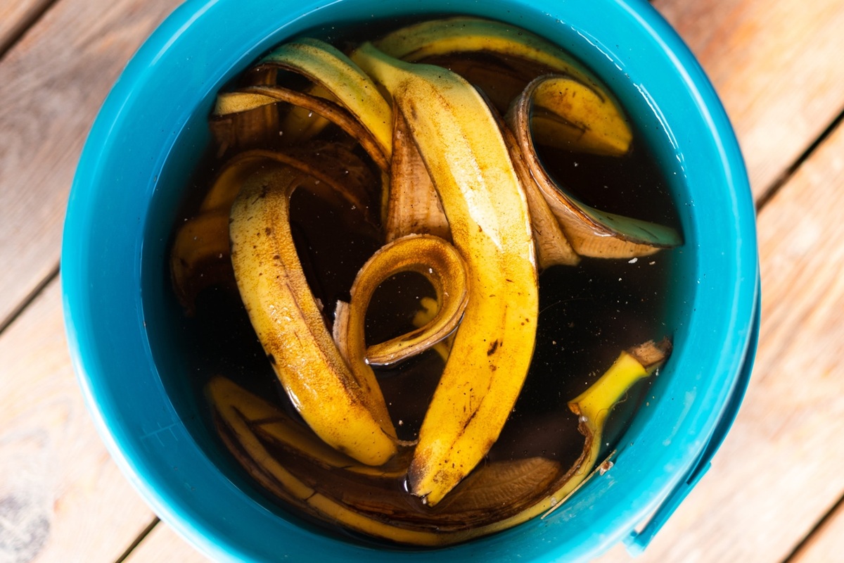 Mješavina kore banane i octa u vrtu