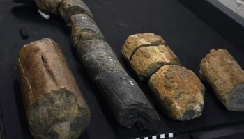 Descoperire în Europa – prima de acest gen: strămoșii noștri erau mult mai pricepuți decât se credea anterior.