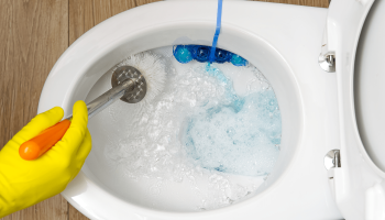 Peroxidul de hidrogen în toaletă: care sunt avantajele utilizării sale o dată pe săptămână?