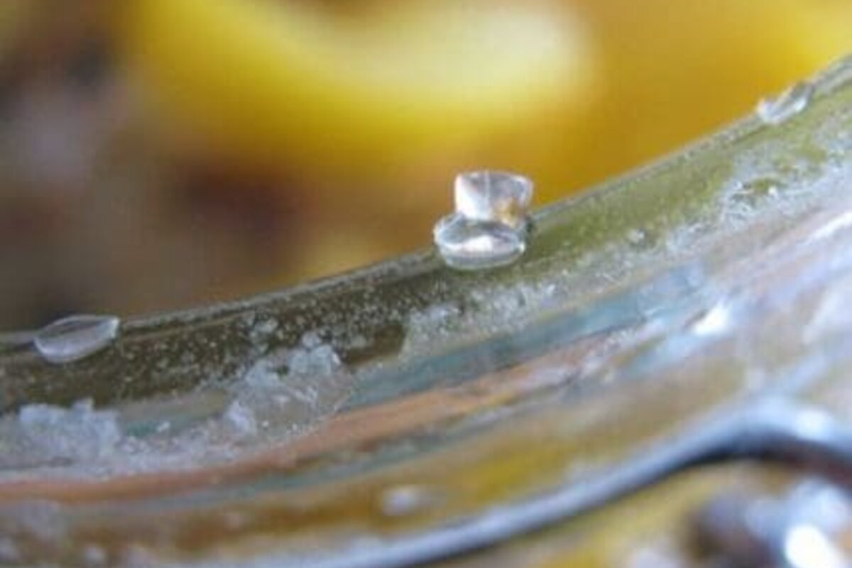 Prirodno sredstvo za čišćenje kuće