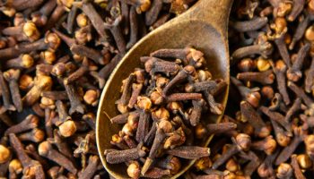 Aromatična biljka na koju malo ko obraća pažnju, a pruža prelep cvet