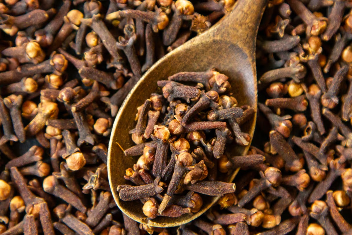 Aromatična biljka na koju malo ko obraća pažnju, a pruža prelep cvet