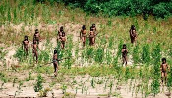 Američki vodič preživeo nakon što je pogođen strelom u susretu sa izolovanim plemenom u Amazoniji