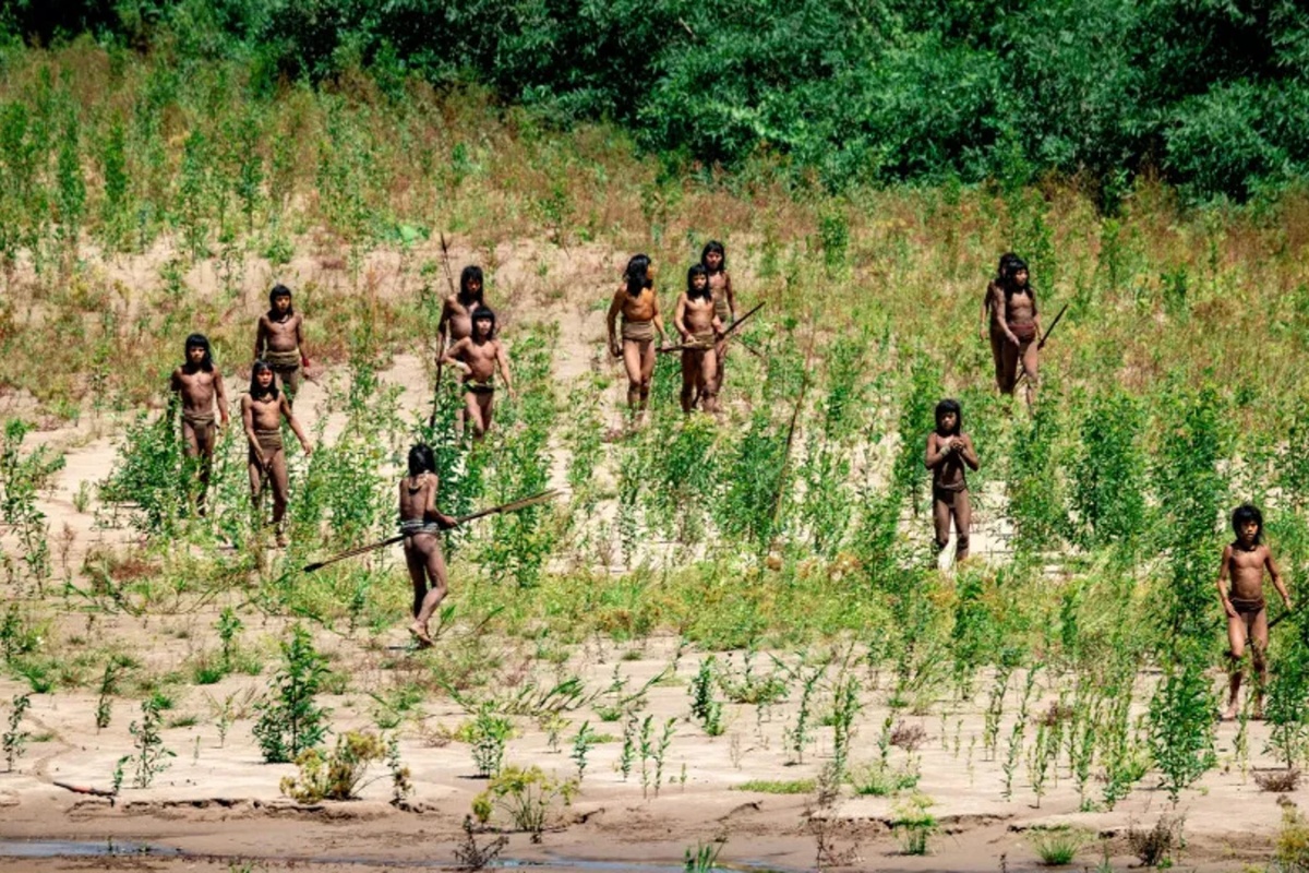 Američki vodič preživeo nakon što je pogođen strelom u susretu sa izolovanim plemenom u Amazoniji