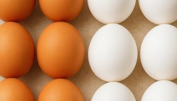 Šest brzih i lakih recepata sa jajima za leto