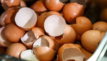 Recikliranje sapuna i ljuski jaja: Zašto je ovo postalo popularno u Srbiji i koje su prednosti