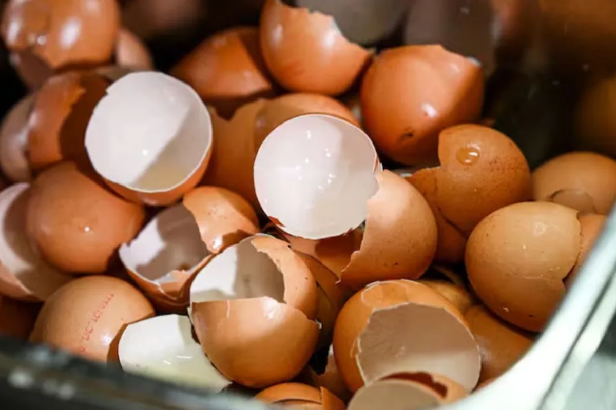 Recikliranje sapuna i ljuski jaja: Zašto je ovo postalo popularno u Srbiji i koje su prednosti