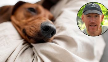 Alan Peiró, trener pasa: „Spavanje sa psom samo po sebi nije problem“