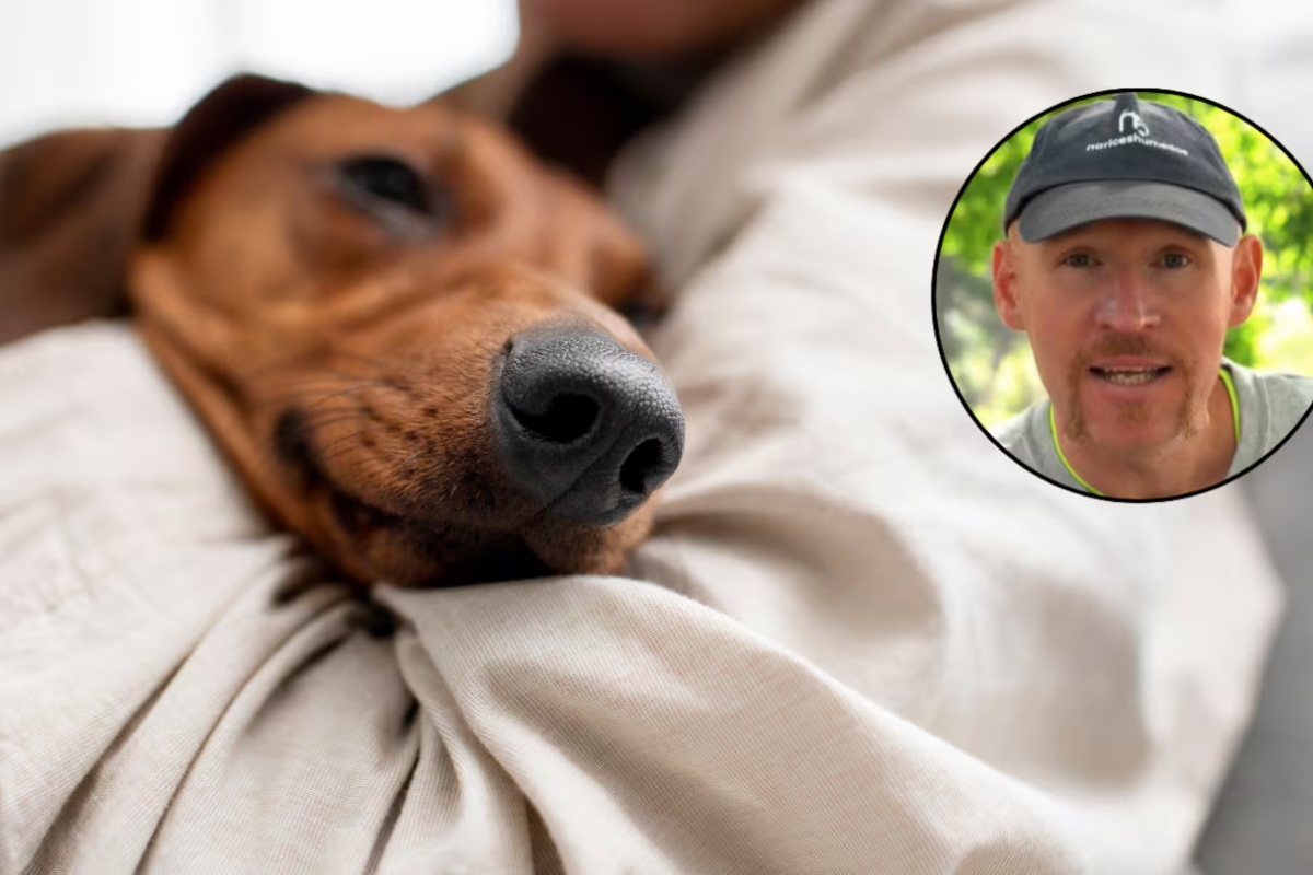 Alan Peiró, trener pasa: „Spavanje sa psom samo po sebi nije problem“