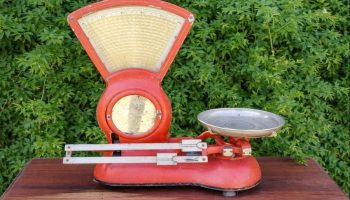 Ako imate staru vagu, imate blago: zašto i kako je reciklirati uz ovu spektakularnu ideju