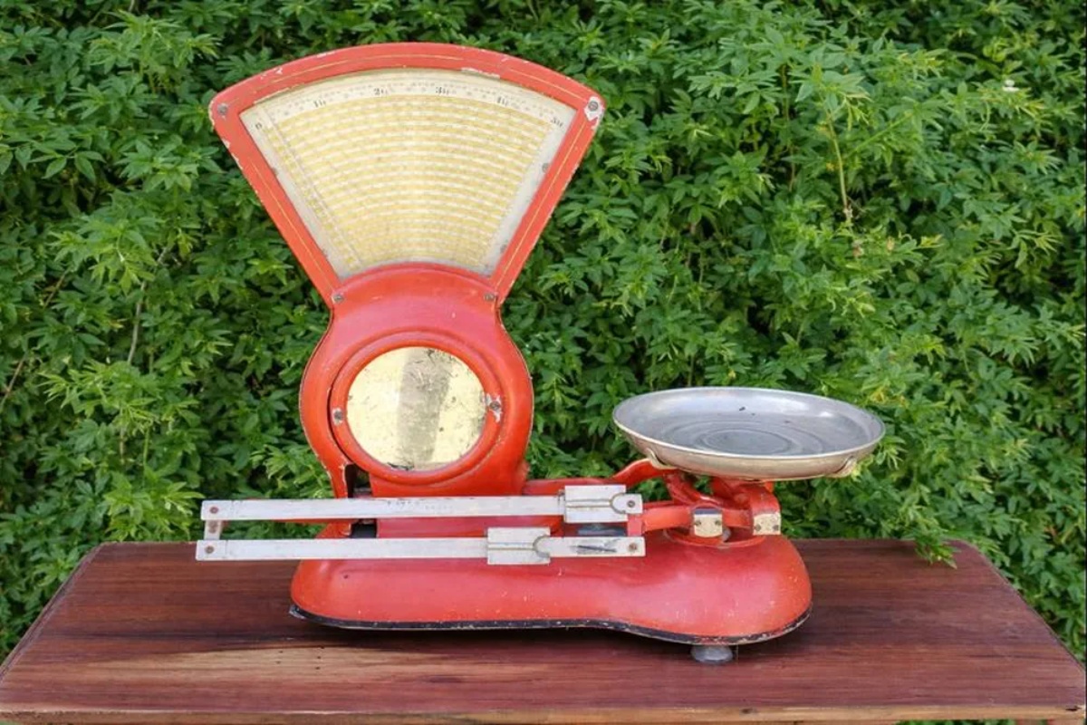 Ako imate staru vagu, imate blago: zašto i kako je reciklirati uz ovu spektakularnu ideju