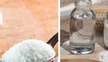 Soda bikarbona i šećer: domaći metod koji može pomoći u uklanjanju bubašvaba bez korišćenja hemijskih insekticida