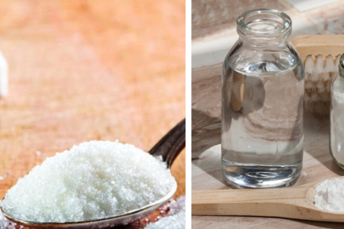 Soda bikarbona i šećer: domaći metod koji može pomoći u uklanjanju bubašvaba bez korišćenja hemijskih insekticida