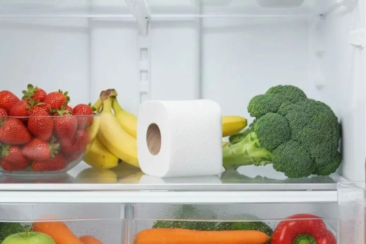 Tajna stavljanja toalet papira u frižider: zašto svi to rade?