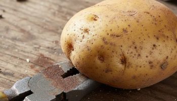Trljanje krompira o zarđali alat: koje su prednosti