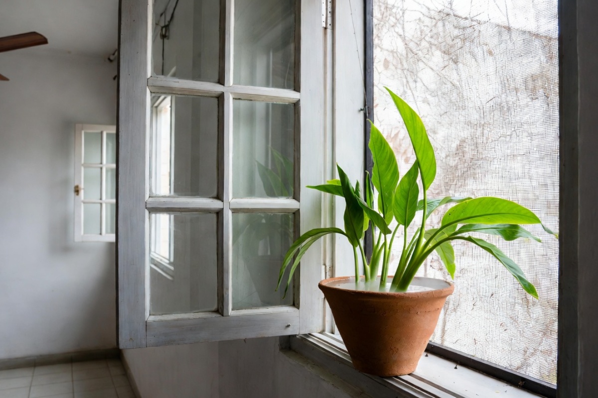 Ni klima uređaj ni ventilator: alternativa za hlađenje doma koja troši manje energije