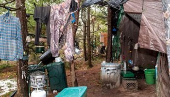 Živeo je 27 godina izolovan u šumi, počinio više od 1.000 krađa i bio zatvoren: „Bolje sam se osećao u tišini“