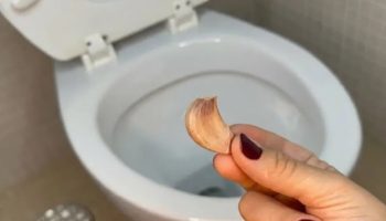 Šta znači ubaciti čen belog luka u toalet šolju? Bićete iznenađeni!