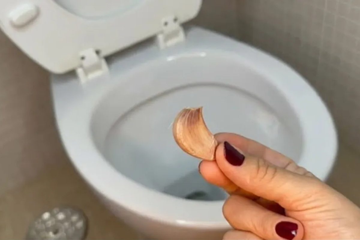 Šta znači ubaciti čen belog luka u toalet šolju? Bićete iznenađeni!