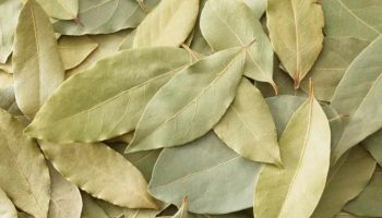 Mešanje lovorovog lista i sode bikarbone: čemu služi i zašto se preporučuje