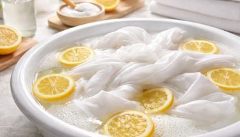 Potapanje posteljine u sok od limuna: čemu služi i zašto se preporučuje