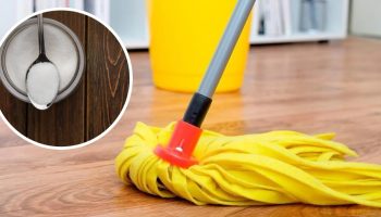 Dodavanje soli u vodu za pranje podova: čemu služi i zašto se preporučuje?