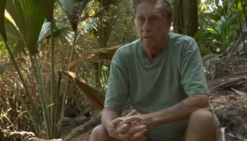 Kupio je pusto ostrvo za 10.000 €, zasadio više od 16 hiljada stabala i odbio milionske ponude