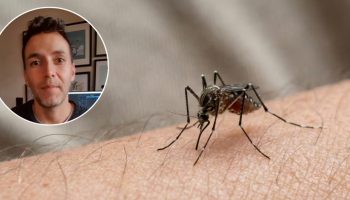 Dijego Fernandez, hemijski inženjer: „Domaći repelent protiv komaraca sadrži 180 ml vode i 20 ml alkohola“