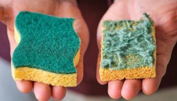 Trik sa starim sunđerom koji poboljšava čišćenje cele kuhinje