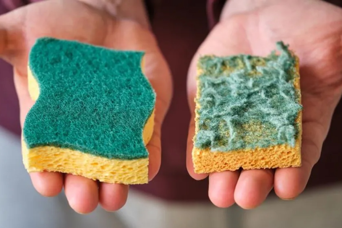 Trik sa starim sunđerom koji poboljšava čišćenje cele kuhinje